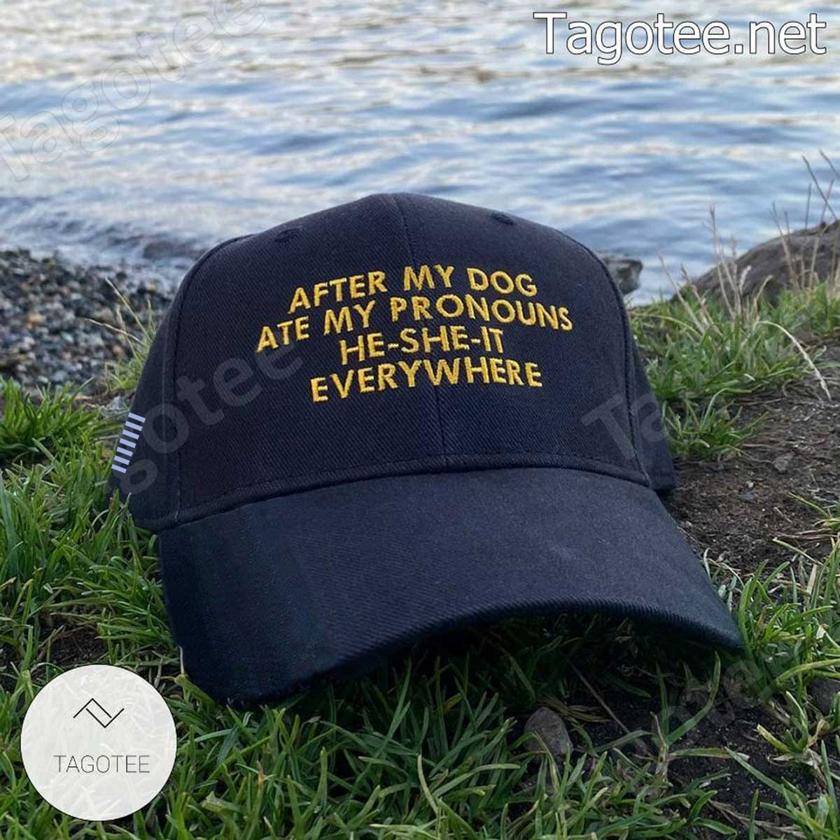 After My Dog Ate My Pronouns He She It Everywhere American Flag Cap